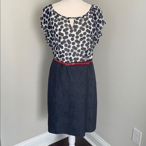 denim flutter sleeve dress